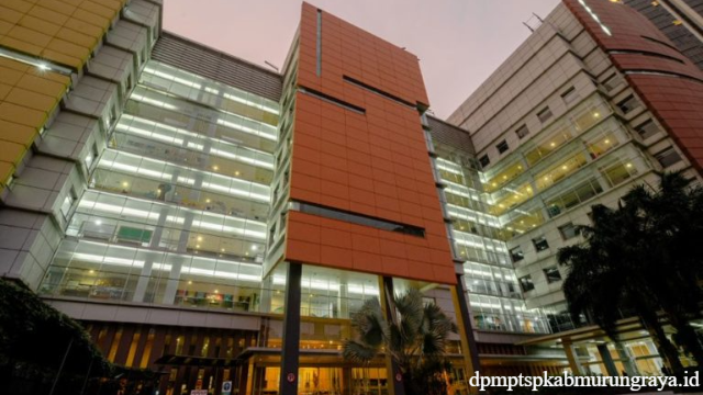 Daftar SMA Internasional Terbaik di Jakarta Selatan