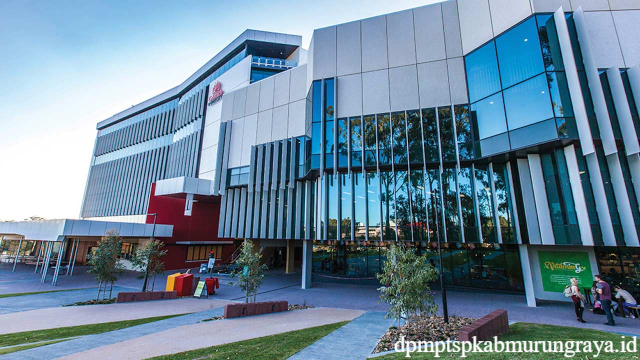 Pilihan Beasiswa Pelajar Internasional di Griffith University