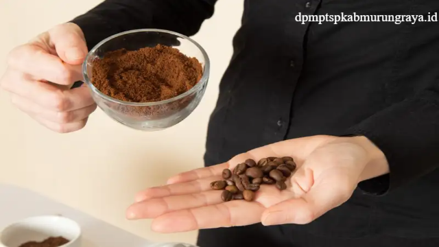 Rekomendasi 6 Sekolah Kopi Terbaik Di Indonesia